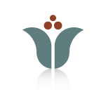 web icons-04
